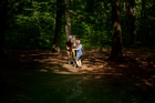 Sonnenbad im Wald