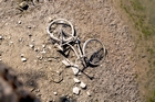 Sch&ouml;nes Fahrrad auf dem Grund